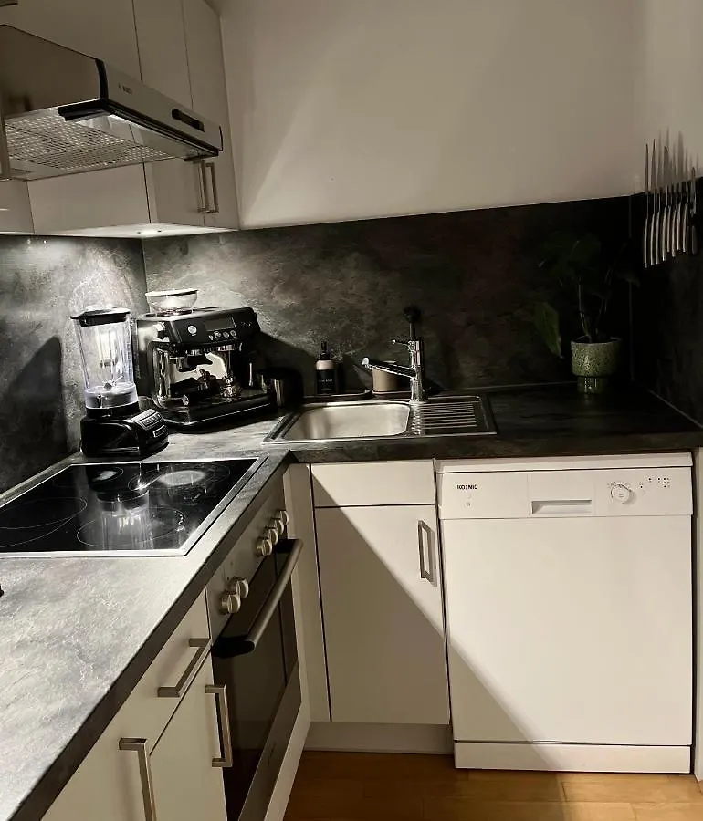 Modern City Center Apartment Munich Germany